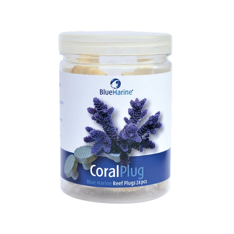 CORAL PLUG 24 PCSBLUE MARINE