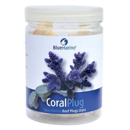 CORAL PLUG 24 PCSBLUE MARINE