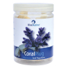 PLUG DE CORAL 24 PIEZAS BLUE MARINE