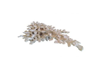 Reef Peninsula M PoséidonArtRocks