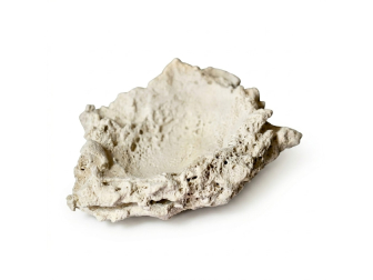 Tridacna Holder 1pcs PoséidonArtRocks