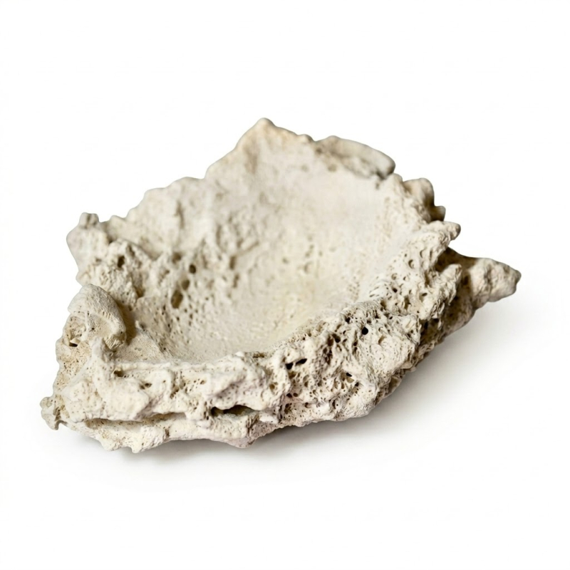 Tridacna Holder 1pcs PoséidonArtRocks