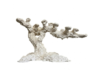 Long Reef Tree M PoséidonArtRocks