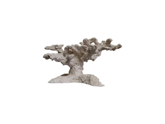 Reef Tree S PoséidonArtRocks