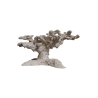 Reef Tree S PoséidonArtRocks