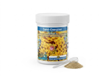 CORAL ENERGIZER 60GRS Preis
