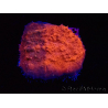 WYSIWYG - RAH Mycedium Blood Stain 23B6