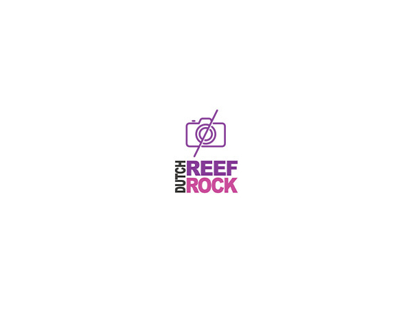 Dutch Reef Rock Pack Bones Bones2,7 Kg