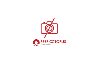 BR-MF-140 Octo 1000 Litri Reattore Generale di Bio-Pellets