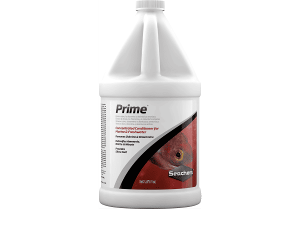 PRIME 2 L