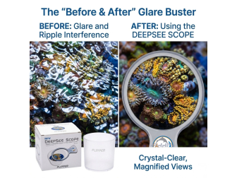 Flipper DeepSee Standard