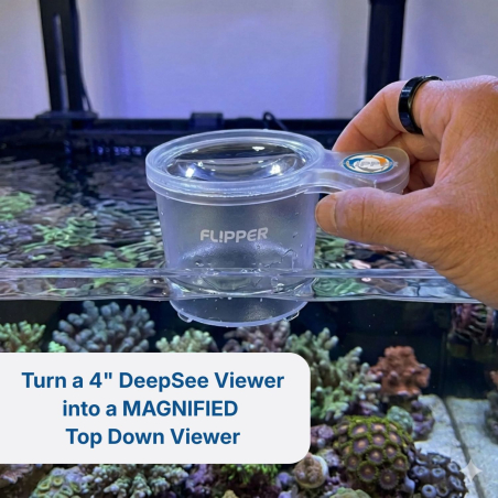 Flipper DeepSee Standard
