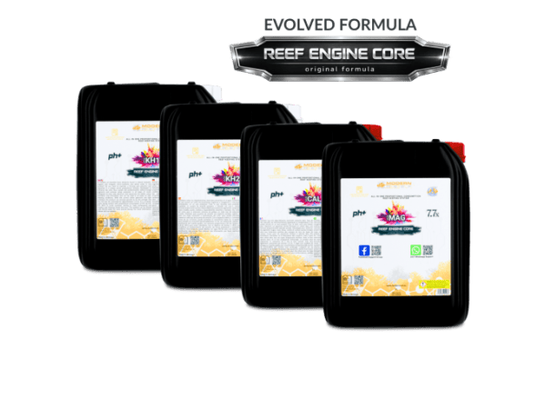 All-in-one Reef Keeping System (RKS) 4x5L Set REEF ENGINE CORE 7.7x High Concentrate Modern Reef