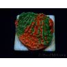 WYSIWYG Montipora plato INJERTADO ULTRA