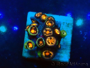 WYSIWYG - ZoanthusMariculture Indo Acclimaté sous led