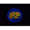 WYSIWYG - Zoanthus JF Jungle Juice 40P4
