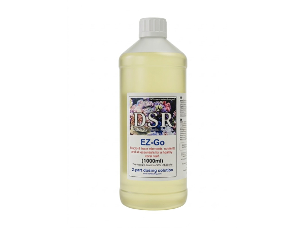 DSR - EZ 2Go 1000 ml
