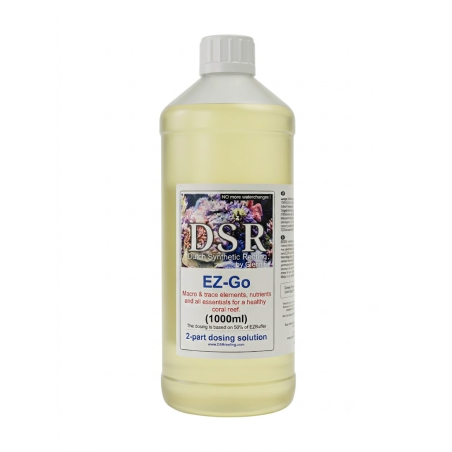 DSR - EZ 2Go 1000 ml