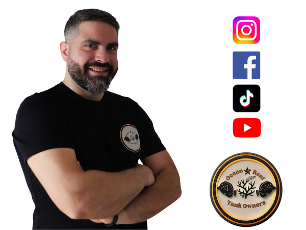 RecifCaptif - Hervé Coaching de 1 Hora
