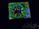 WYSIWYG - RAH Favites Raging Sun