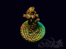 WYSIWYG Acropora Marikultur akklimatisiert LED