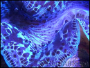 WYSIWYG Bénitiers Ultra COLOR XL 1