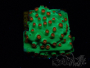 WYSIWYG - WWC Cyphastrea Jingle Bells