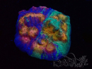 WYSIWYG - RAH Mycedium Paint bleed