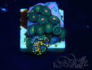 WYSIWYG - Zoanthus Maricultura Indo Acclimatati sotto led