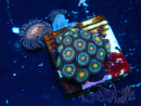 WYSIWYG - Zoanthus  Mariculture Indo Acclimaté sous led
