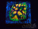 WYSIWYG - RAH Favites Raging Sun