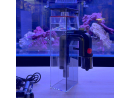 DC Protein skimmer ASF