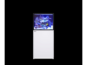 REEFER MAX 200 G3+