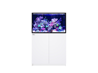 REEFER G3+ XL 300 Red Sea