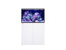 REEFER G3+ XL 300 Red Sea