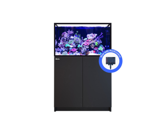 REEFER G3+ XL 300 Red Sea