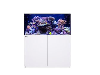 REEFER G3+ XL 425 Red Sea