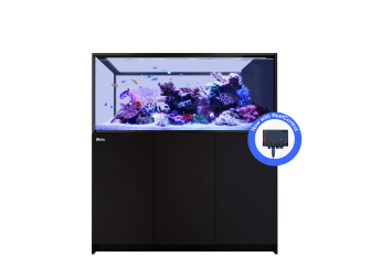 Peninsula G3+ S-700 Red Sea