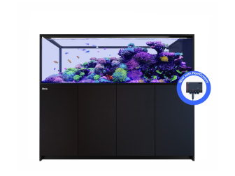 Peninsula G3+ S-950 Red Sea