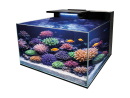 Aquarium REEF CORAL GARDEN 55 BLUE MARINE