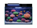Aquarium REEF CORAL GARDEN 55 BLAU MARINE