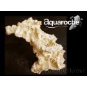 Arche Aquaroche