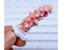 Coral Plugs Seachem