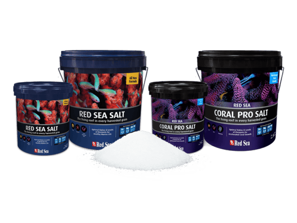 Red Sea Salt 22 kg seau