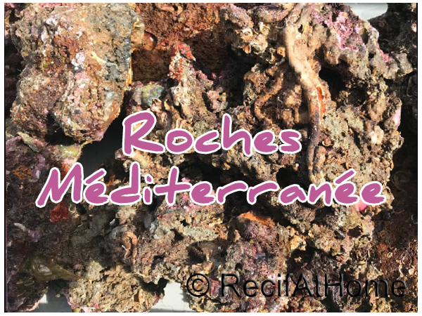 BOX Méditerranée pierres vivantes premium 30kg environ sans cites