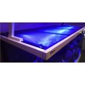 Filet de protection 60cm Redsea R42080