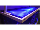 Filet de protection 60cm Redsea R42080
