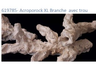 Acroporock XL Branche avec trou 35 38 cm 619785