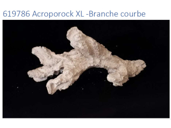 Acroporock XL Branche courbe 35 38 cm 619786