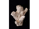 Acroporock XL y 18/20 cm Gauche 619783